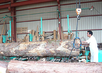 �����Ɠ����m�����3_02